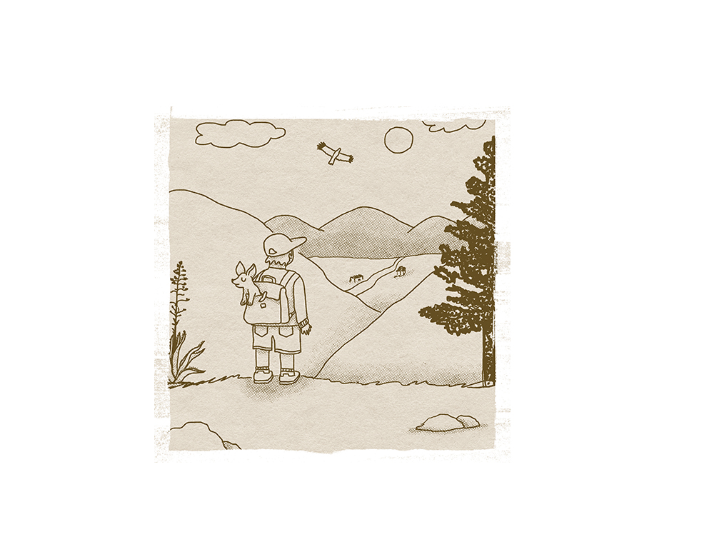 ilustración para libro infantil