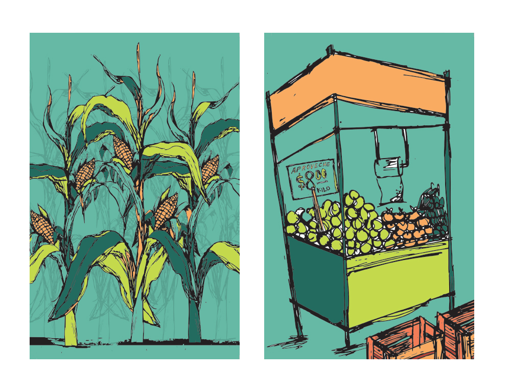 ilustraciones