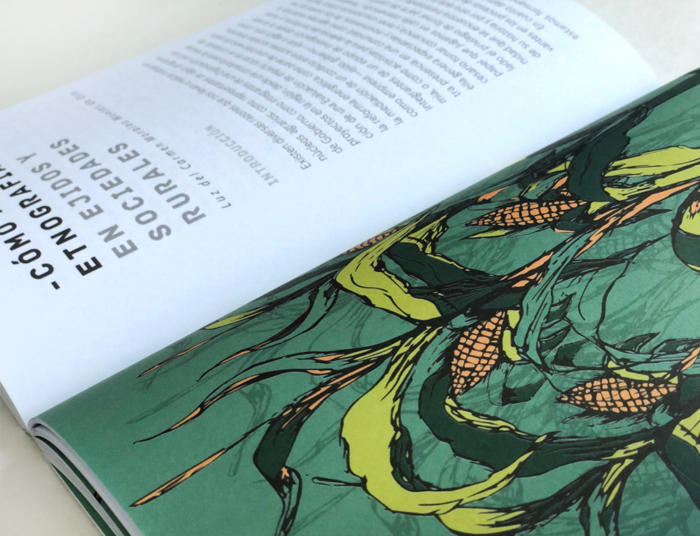ilustraciones para libro